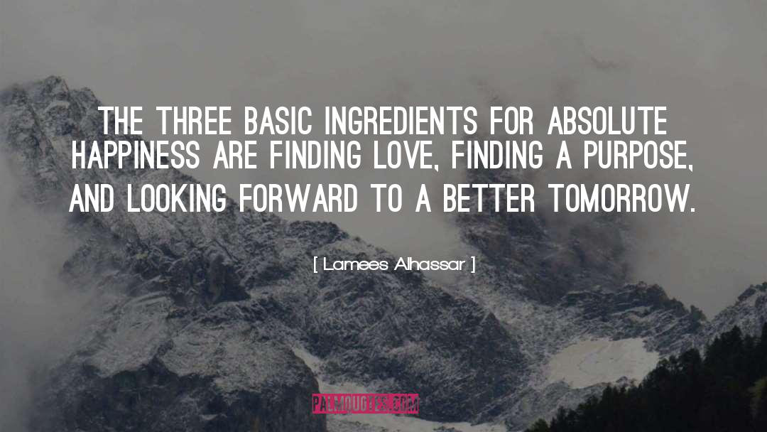 Better Tomorrow quotes by Lamees Alhassar