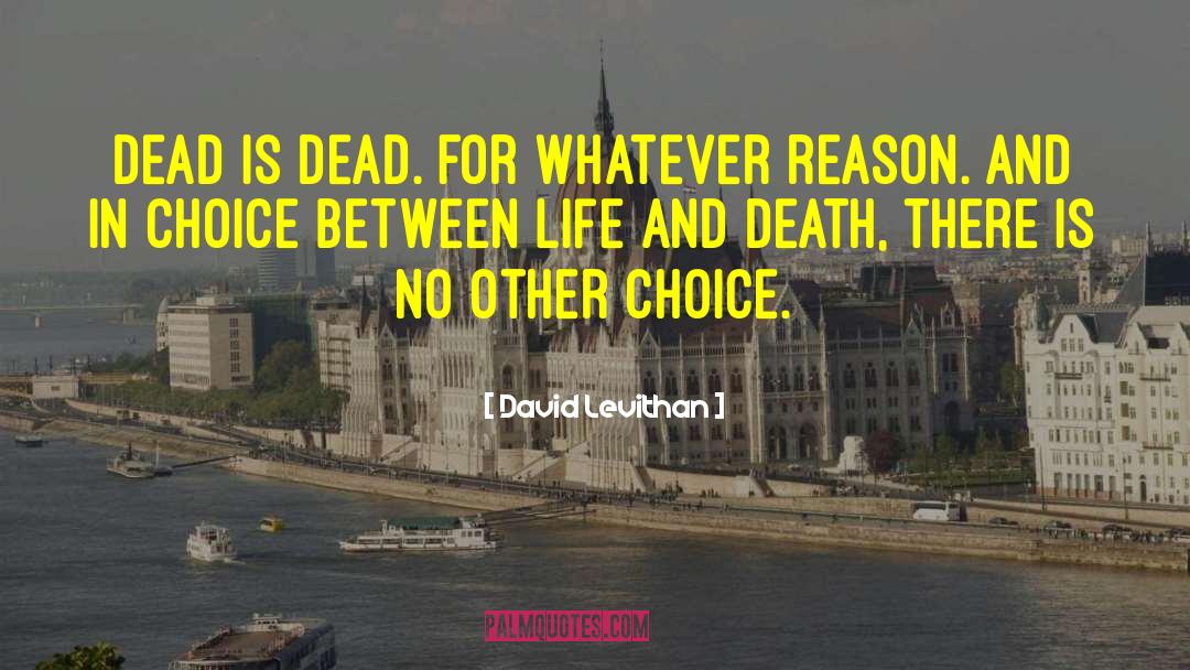 Between Life And Death quotes by David Levithan