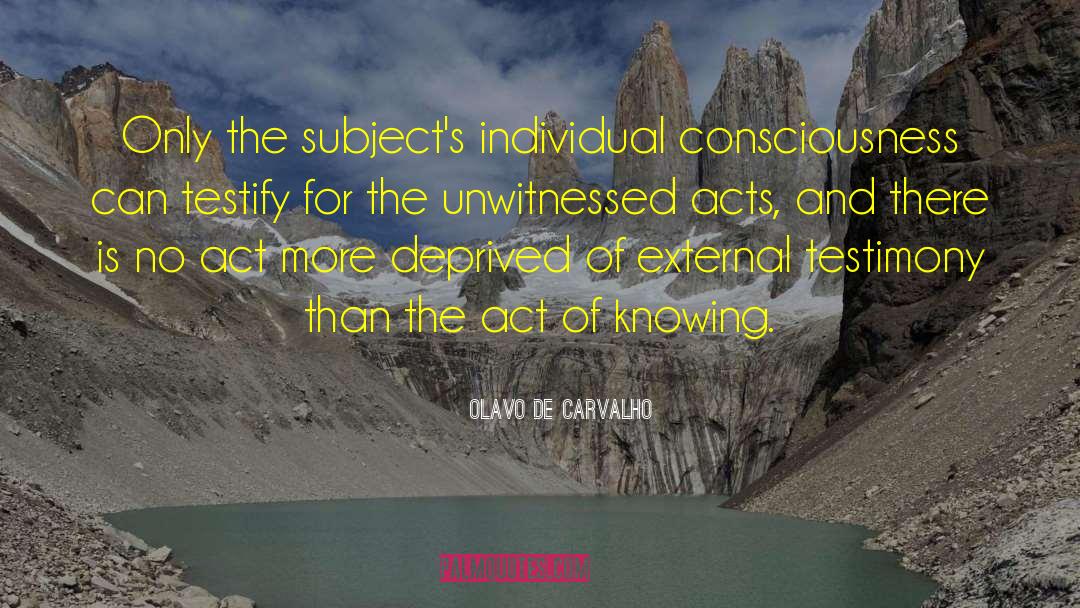 Between The Acts quotes by Olavo De Carvalho