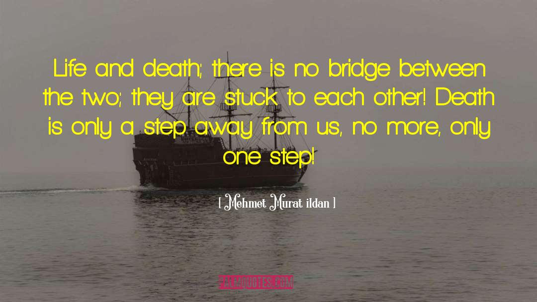 Between The Bridge And The River quotes by Mehmet Murat Ildan