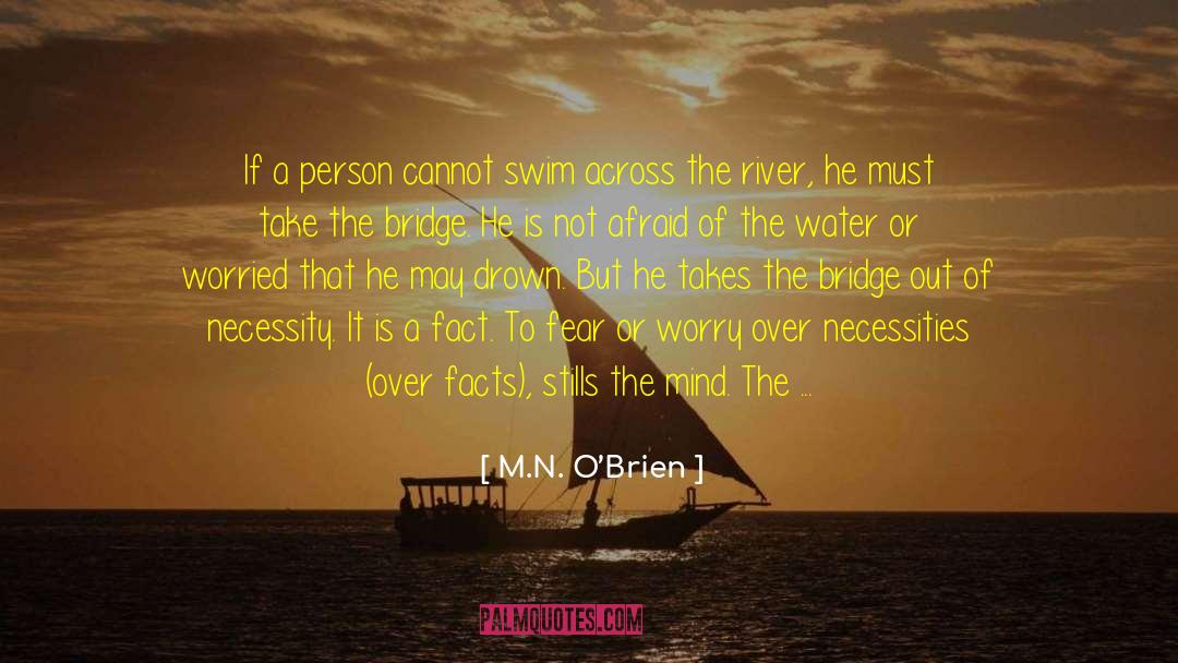 Between The Bridge And The River quotes by M.N. O’Brien