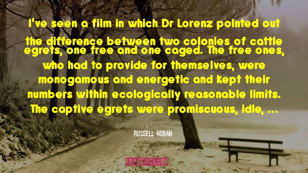 Between Two Promises quotes by Russell Hoban