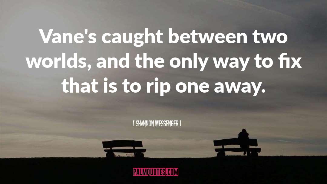 Between Two Worlds quotes by Shannon Messenger