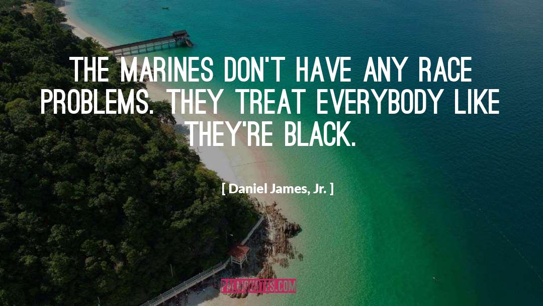 Beurteaux Marine quotes by Daniel James, Jr.