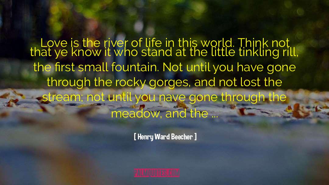 Bevanda River quotes by Henry Ward Beecher