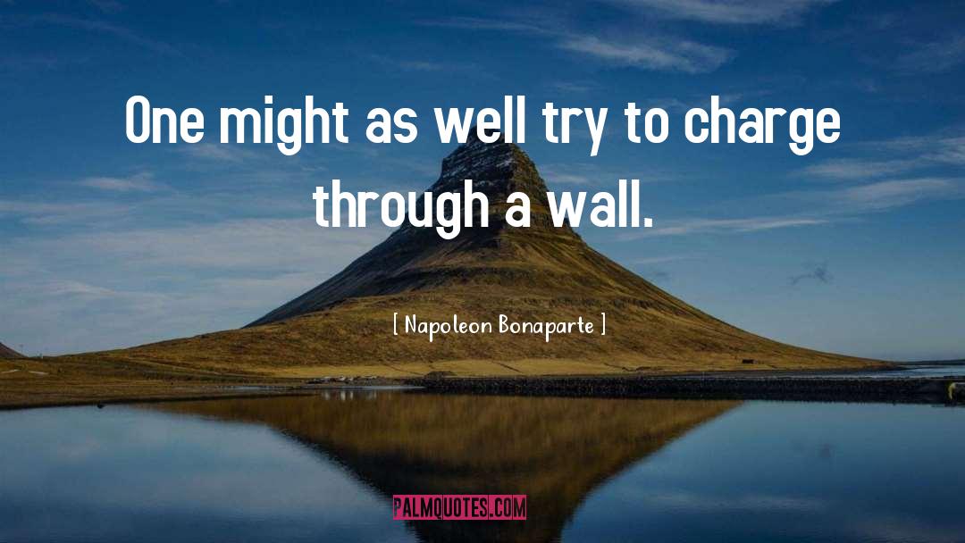 Beveled Wall quotes by Napoleon Bonaparte