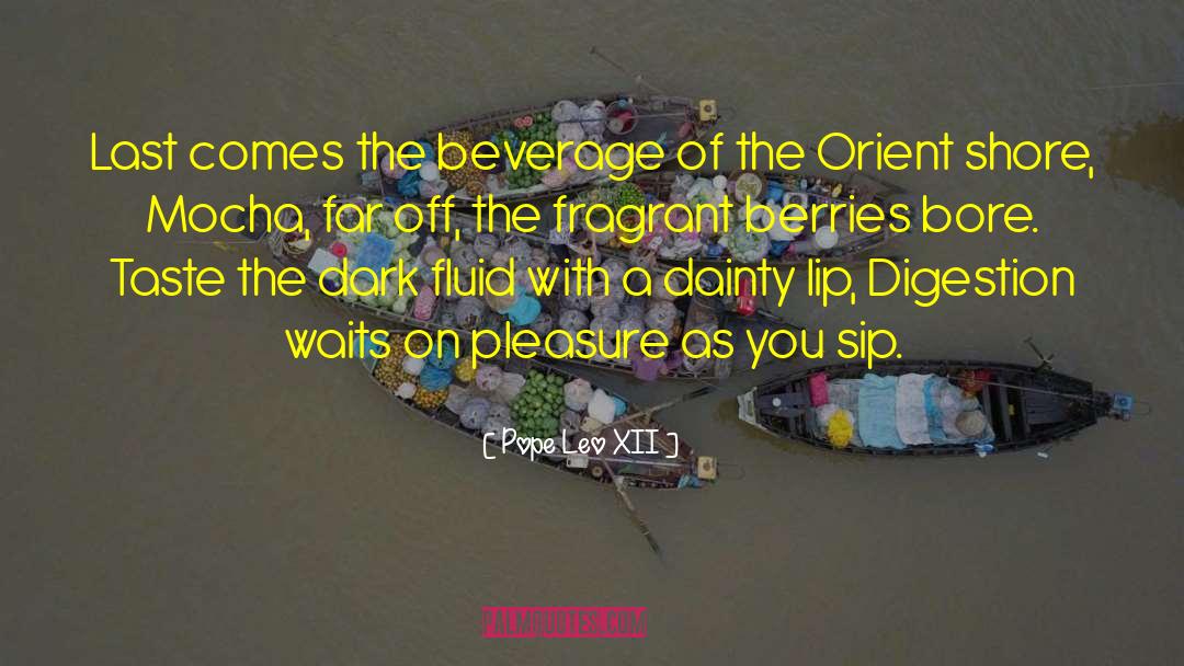 Beverage quotes by Pope Leo XII