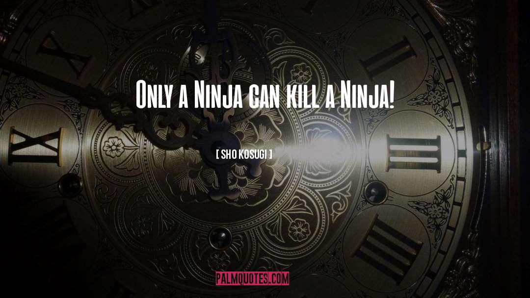 Beverly Hills Ninja Funny quotes by Sho Kosugi