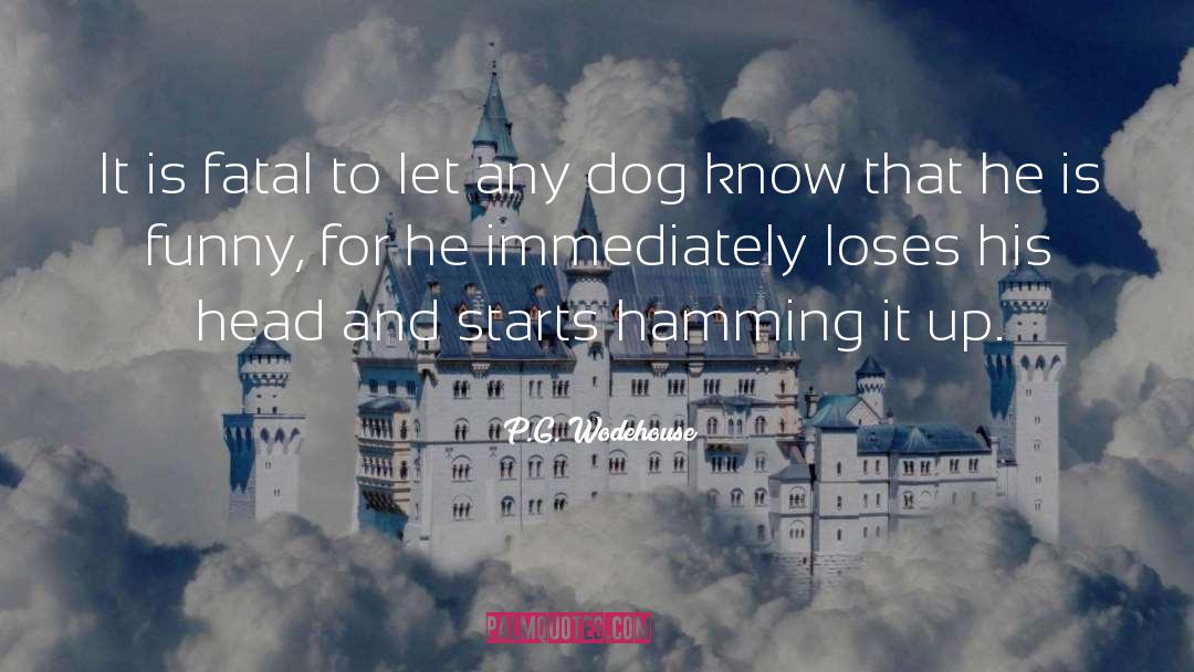 Bevill Dog quotes by P.G. Wodehouse