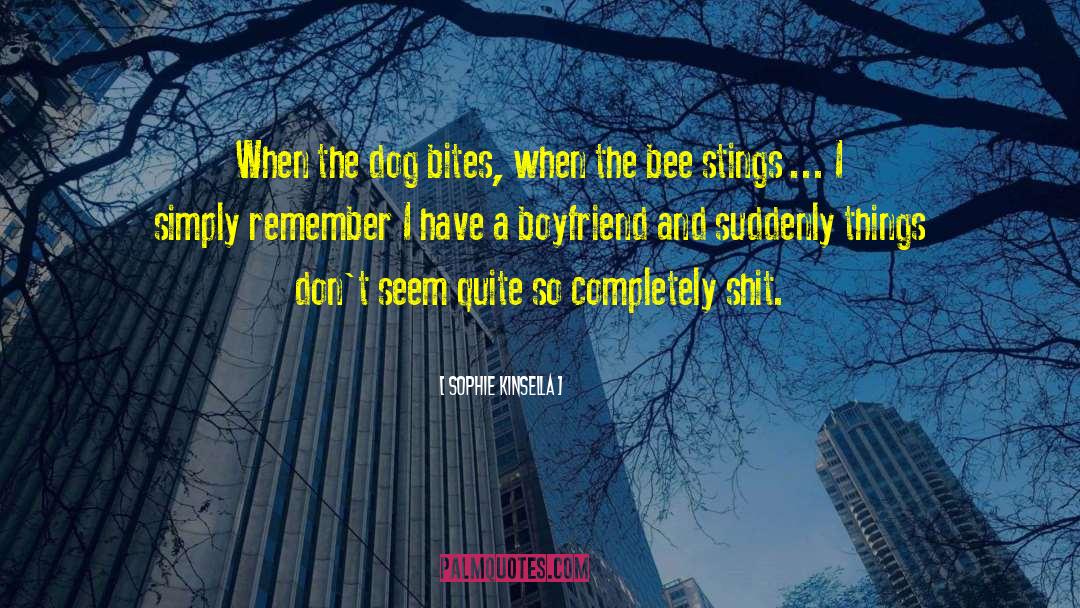 Bevill Dog quotes by Sophie Kinsella