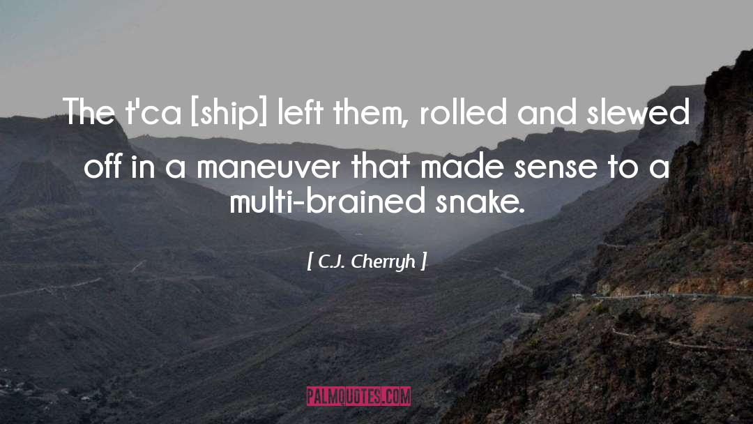 Beware The Snake quotes by C.J. Cherryh