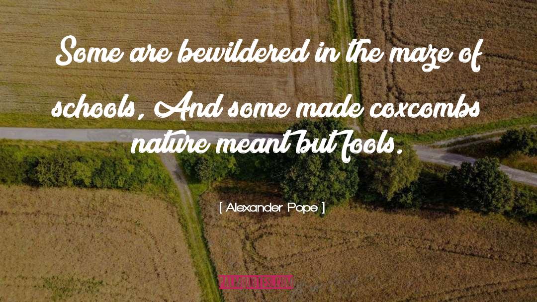 Bewildered quotes by Alexander Pope