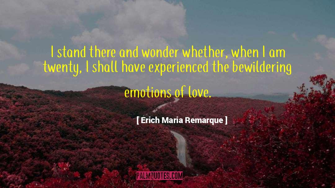 Bewildering quotes by Erich Maria Remarque