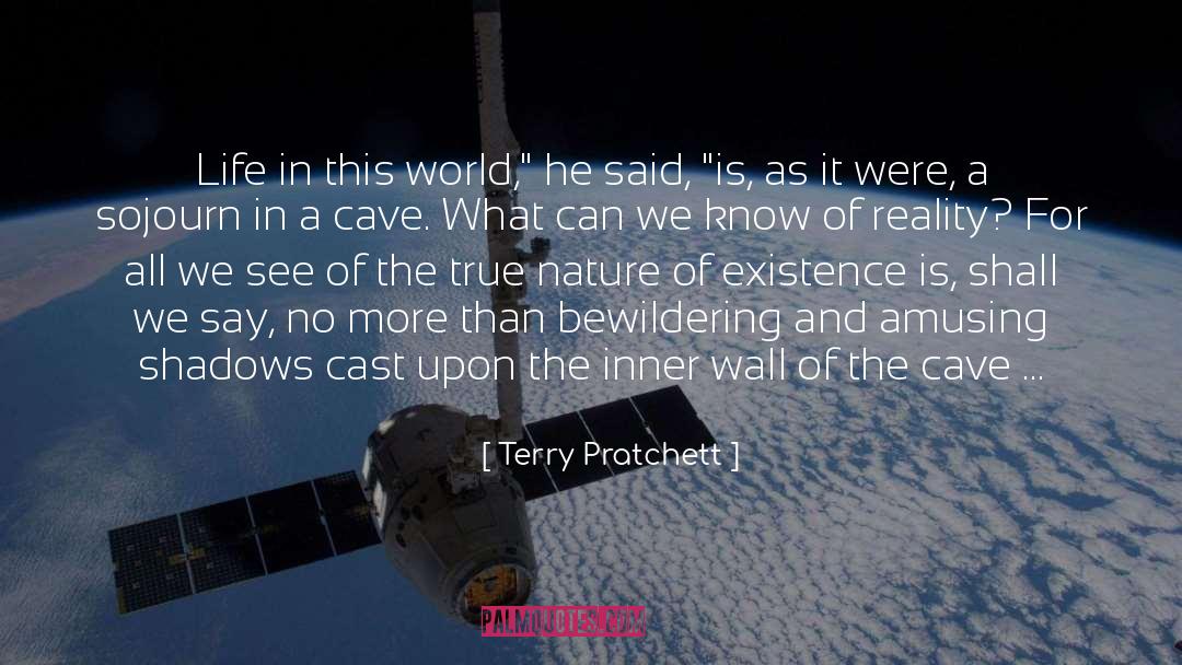 Bewildering quotes by Terry Pratchett