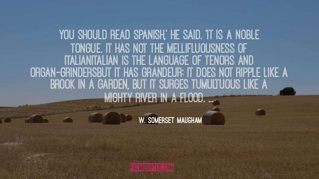 Bewilderment In Spanish quotes by W. Somerset Maugham