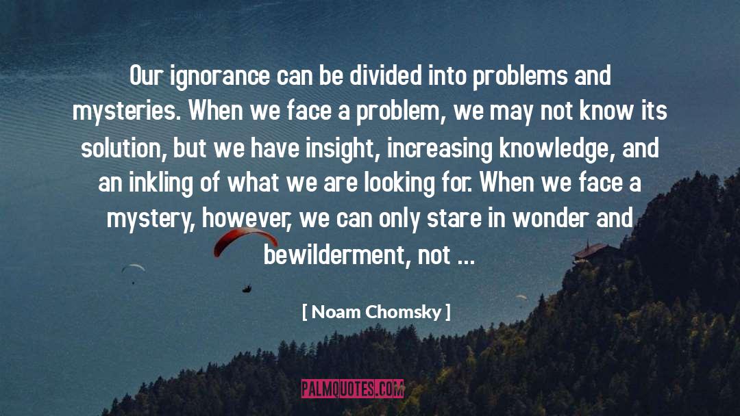 Bewilderment quotes by Noam Chomsky