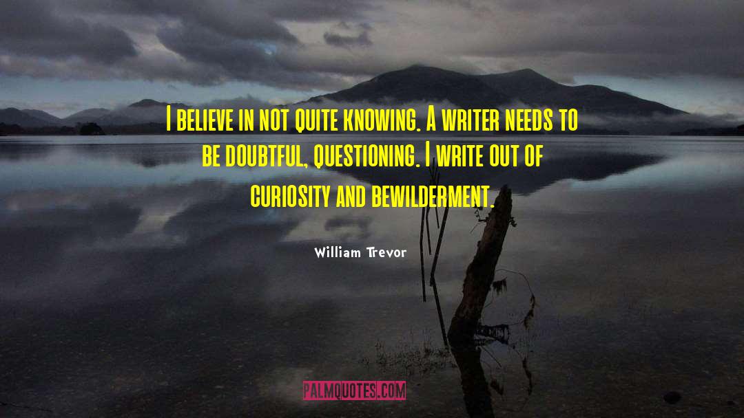 Bewilderment quotes by William Trevor