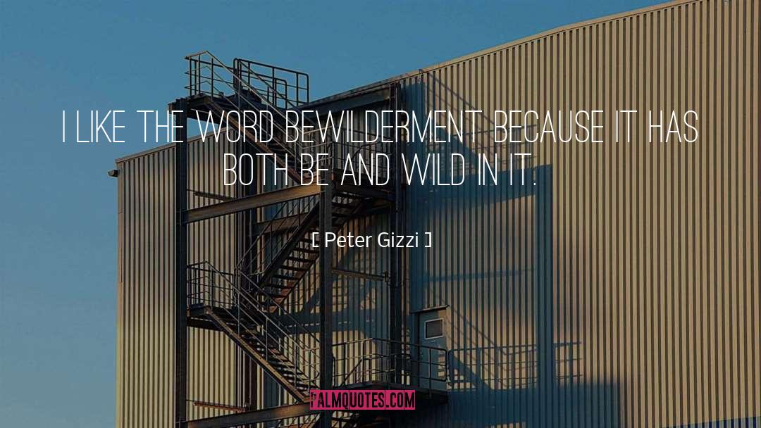 Bewilderment quotes by Peter Gizzi
