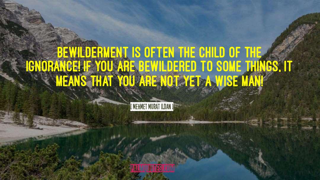 Bewilderment quotes by Mehmet Murat Ildan