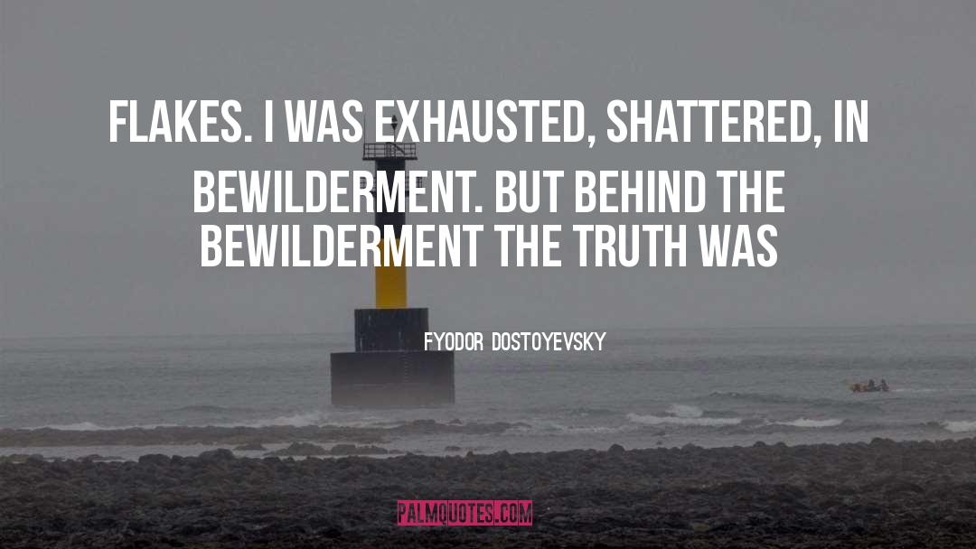 Bewilderment quotes by Fyodor Dostoyevsky