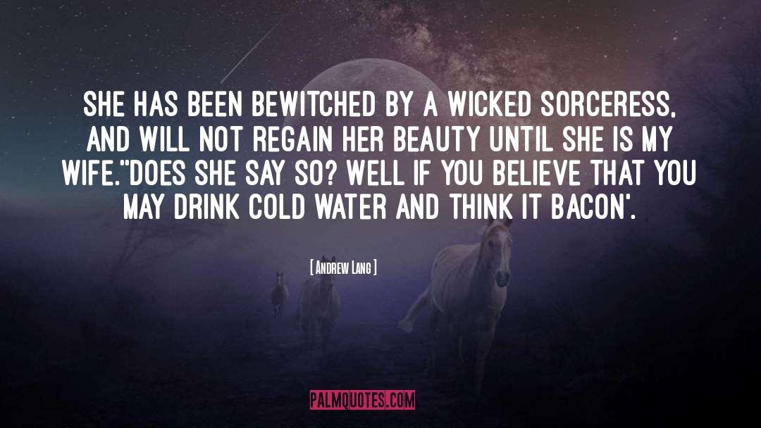 Bewitched quotes by Andrew Lang