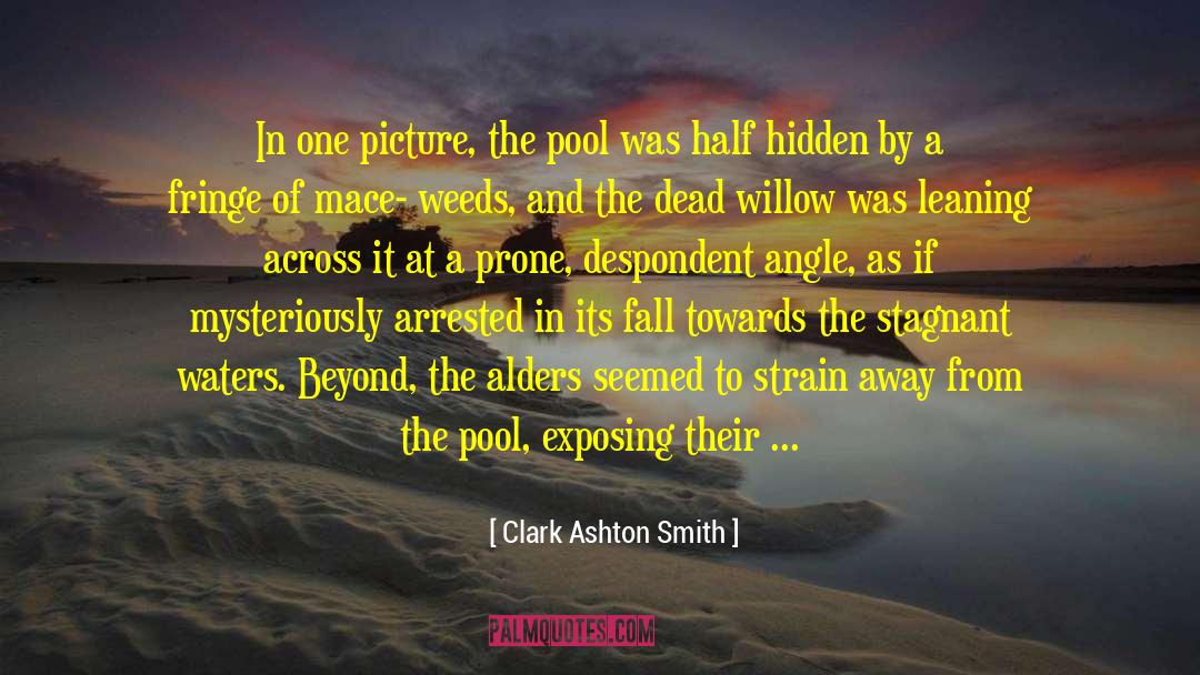 Bewitching Pool quotes by Clark Ashton Smith