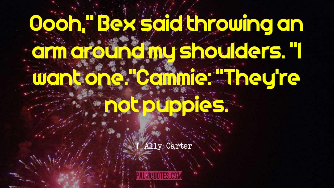 Bex quotes by Ally Carter