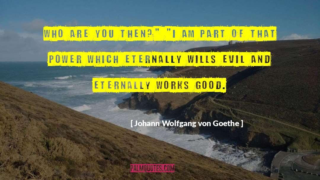 Beyond Good And Evil quotes by Johann Wolfgang Von Goethe