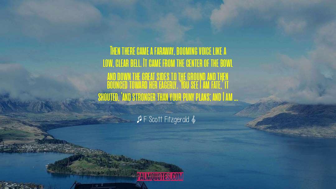 Beyond Limits quotes by F Scott Fitzgerald