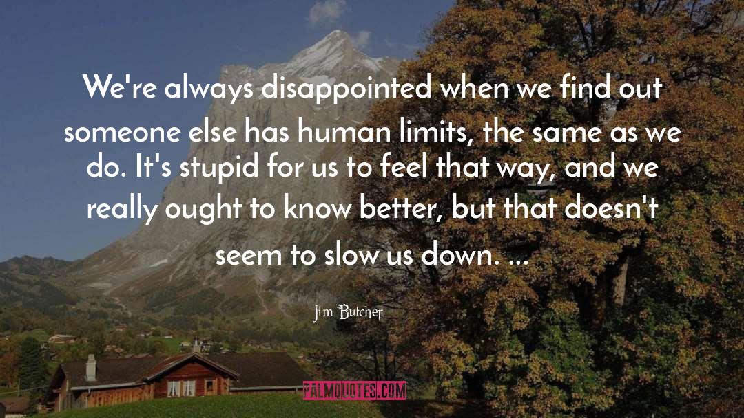 Beyond Limits quotes by Jim Butcher