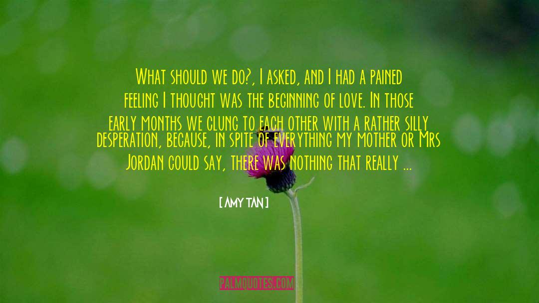 Beyond Love quotes by Amy Tan