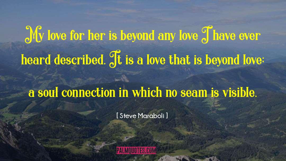 Beyond Love quotes by Steve Maraboli
