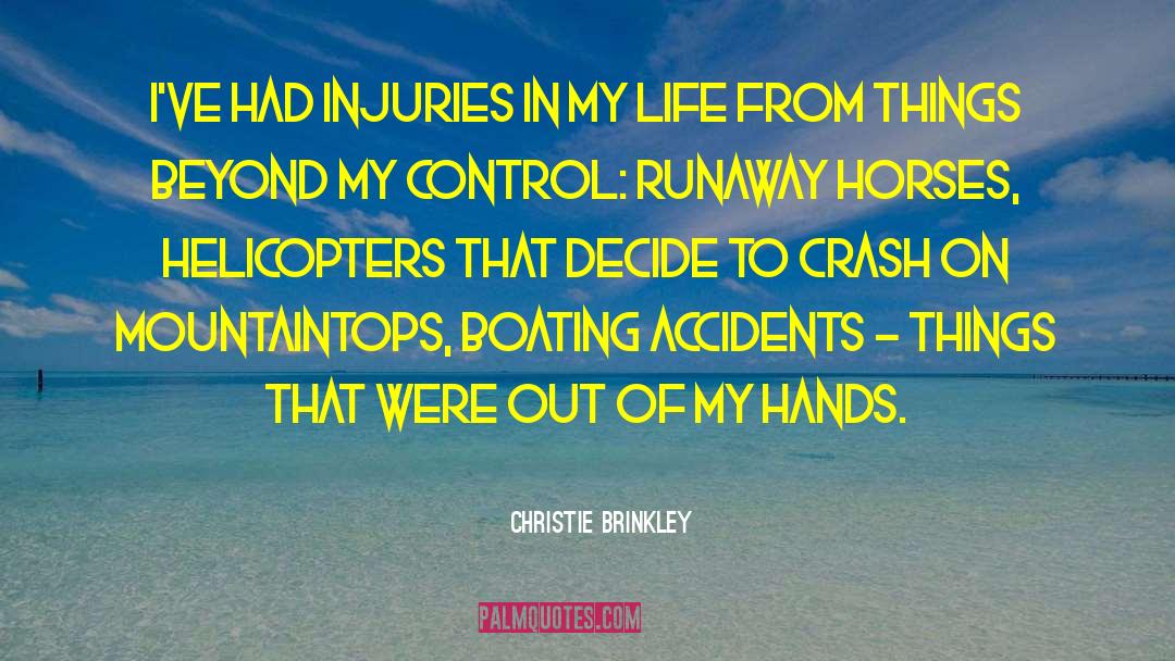 Beyond My Control quotes by Christie Brinkley