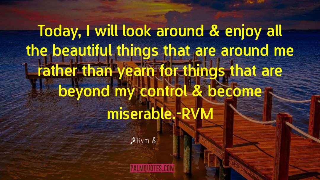 Beyond My Control quotes by R.v.m.
