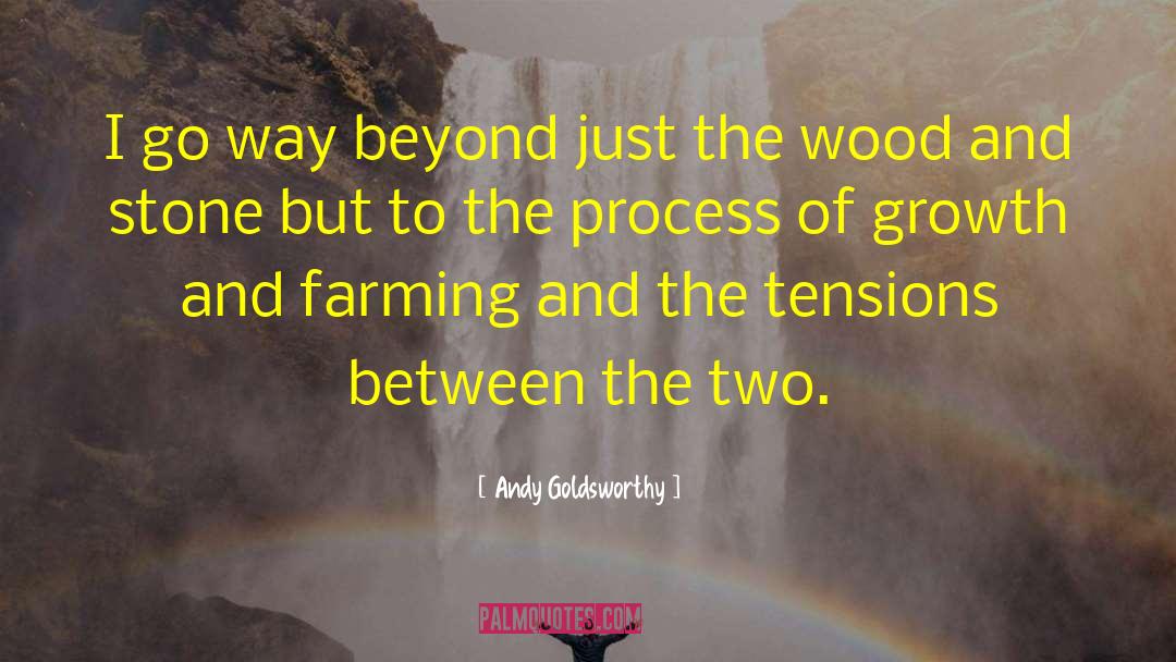 Beyond The Deepwoods quotes by Andy Goldsworthy