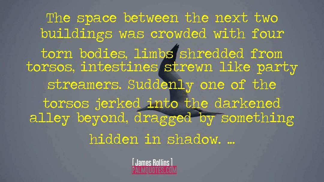 Beyond The Hidden Sky quotes by James Rollins