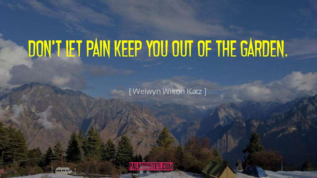 Beyond The Pain quotes by Welwyn Wilton Katz