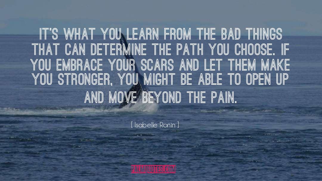 Beyond The Pain quotes by Isabelle Ronin