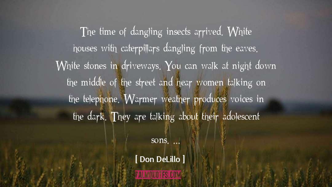 Bhootnath Night quotes by Don DeLillo