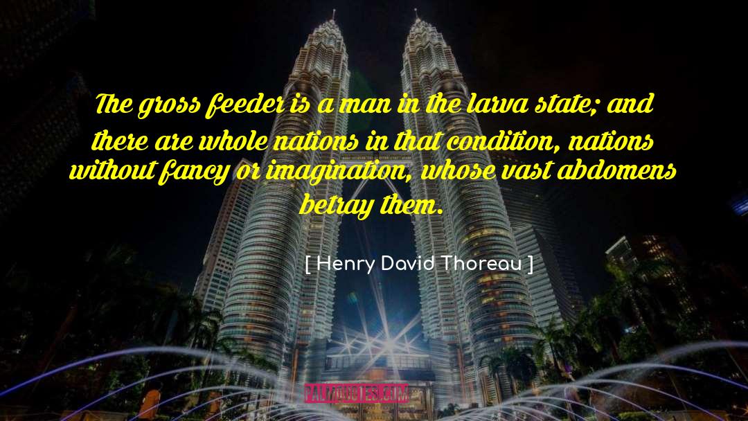 Bhutans Gross quotes by Henry David Thoreau