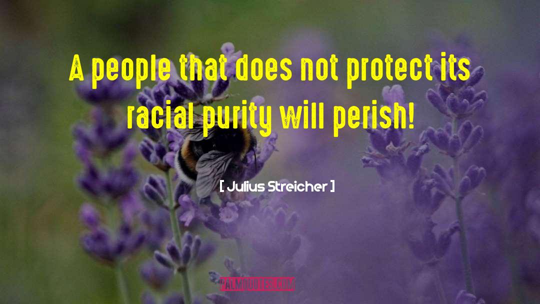 Bi Racial quotes by Julius Streicher