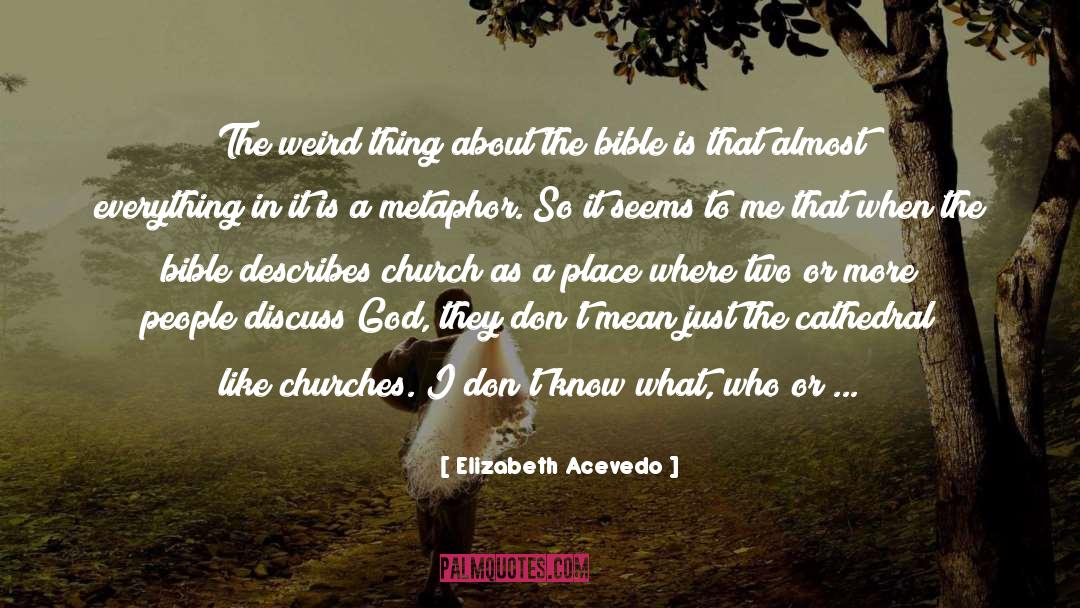 Bible And Sword quotes by Elizabeth Acevedo