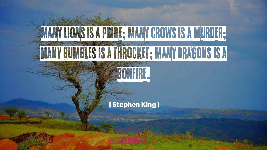 Bible Crows quotes by Stephen King