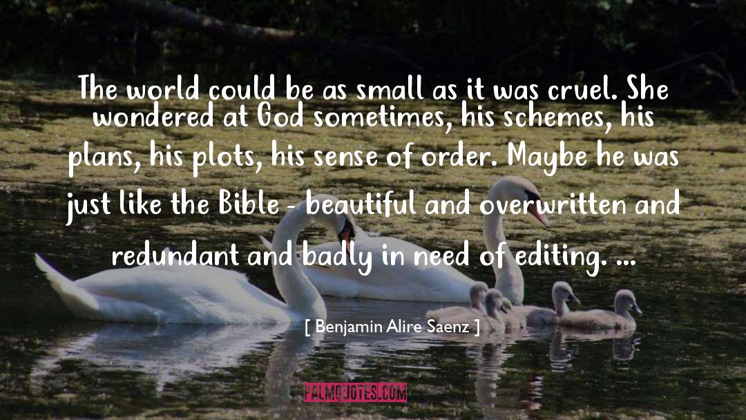 Bible Small quotes by Benjamin Alire Saenz