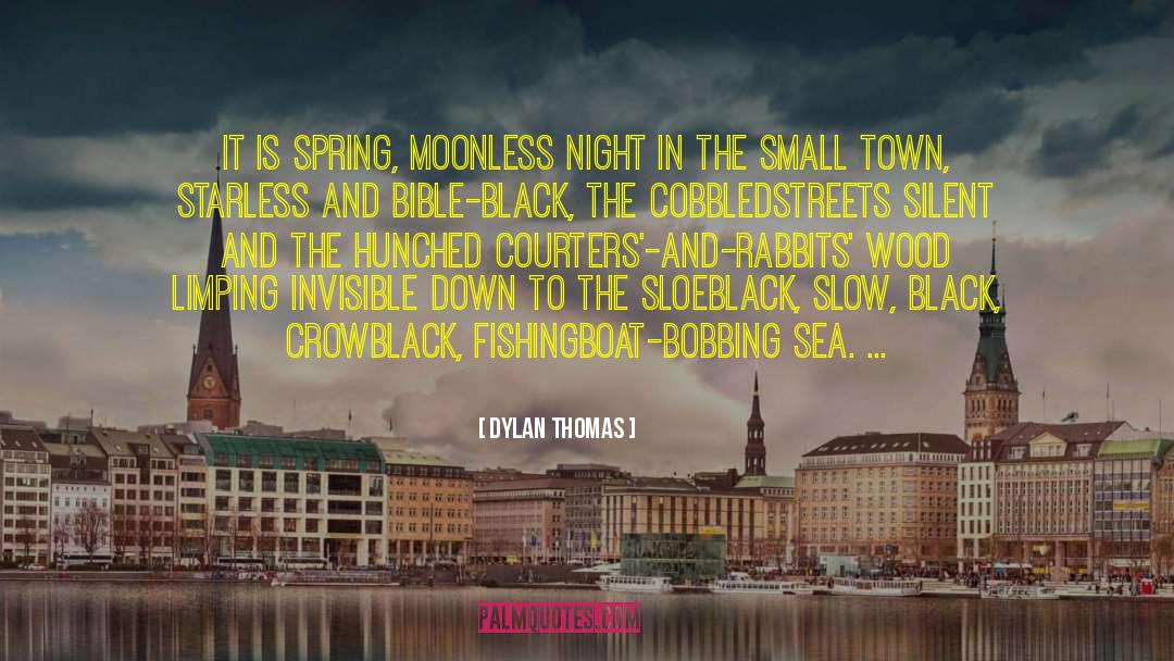 Bible Small quotes by Dylan Thomas
