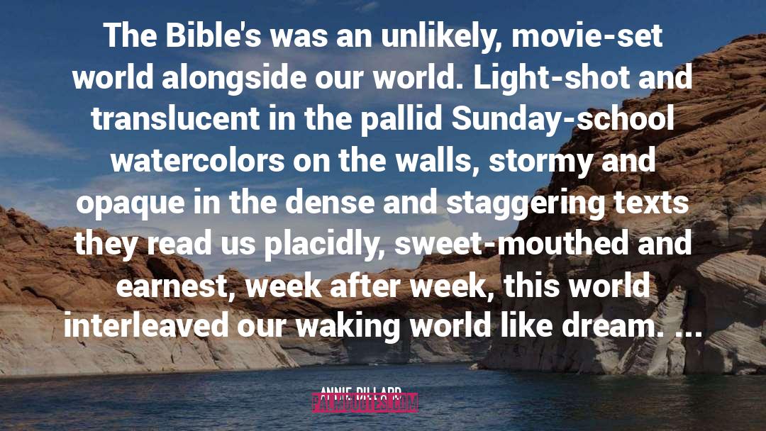 Bibles quotes by Annie Dillard