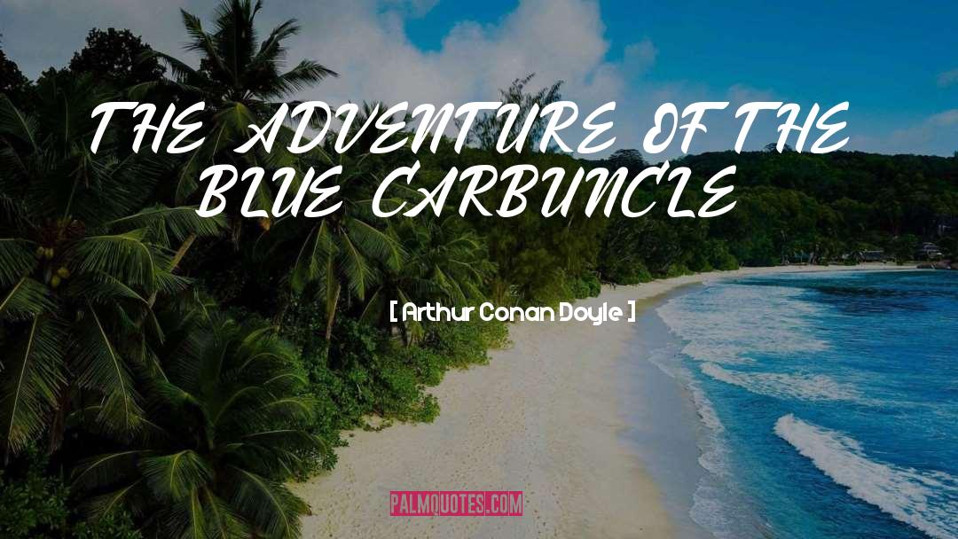 Biblical Adventure quotes by Arthur Conan Doyle