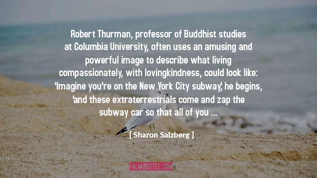 Biblical Studies quotes by Sharon Salzberg