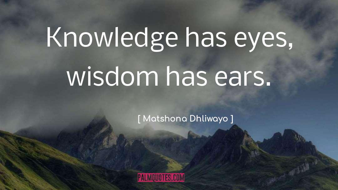Bibliophile Wisdom quotes by Matshona Dhliwayo