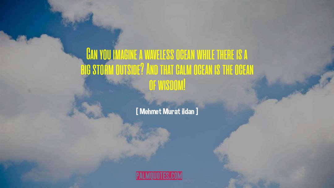Bibliophile Wisdom quotes by Mehmet Murat Ildan